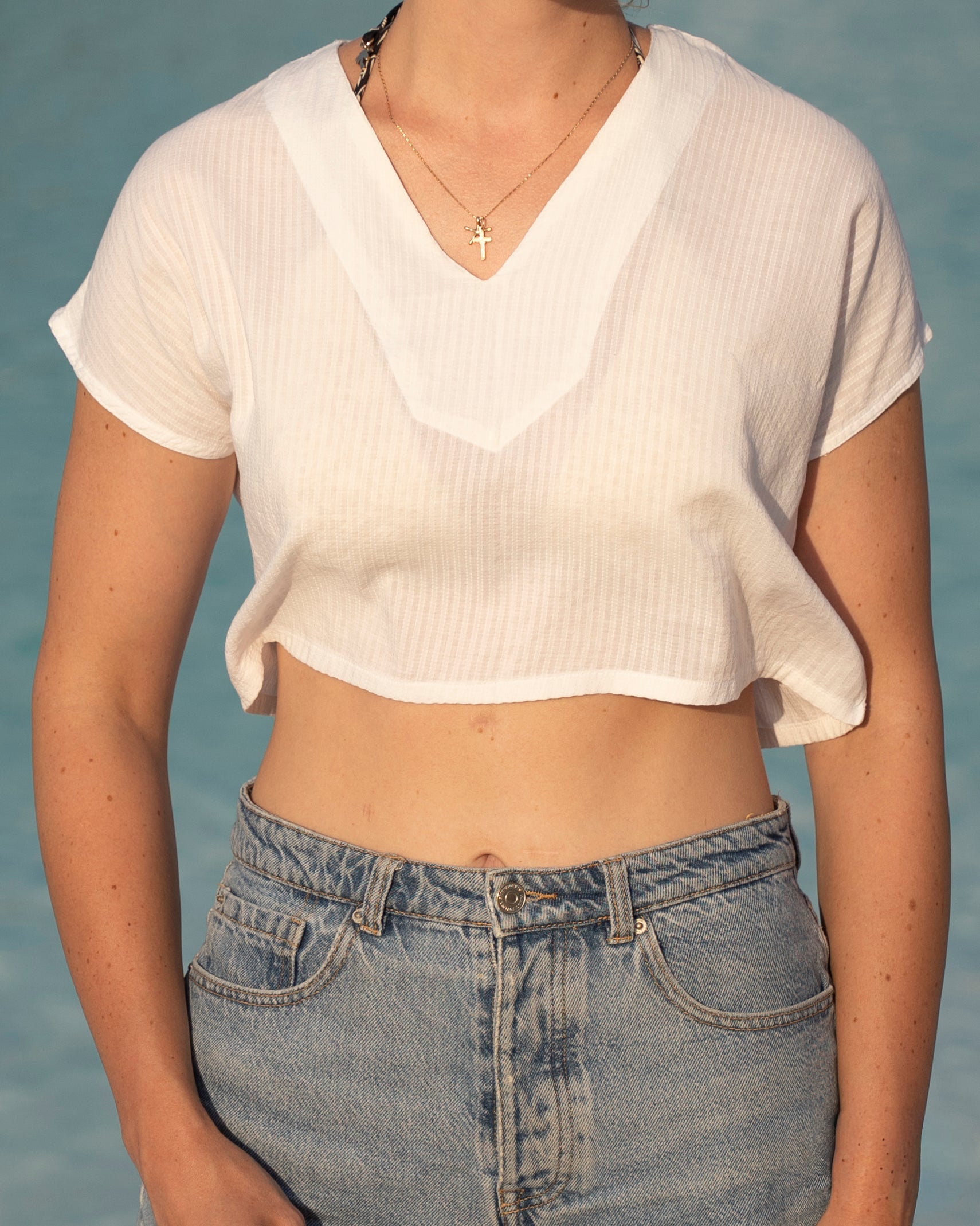 Shoreline Crop