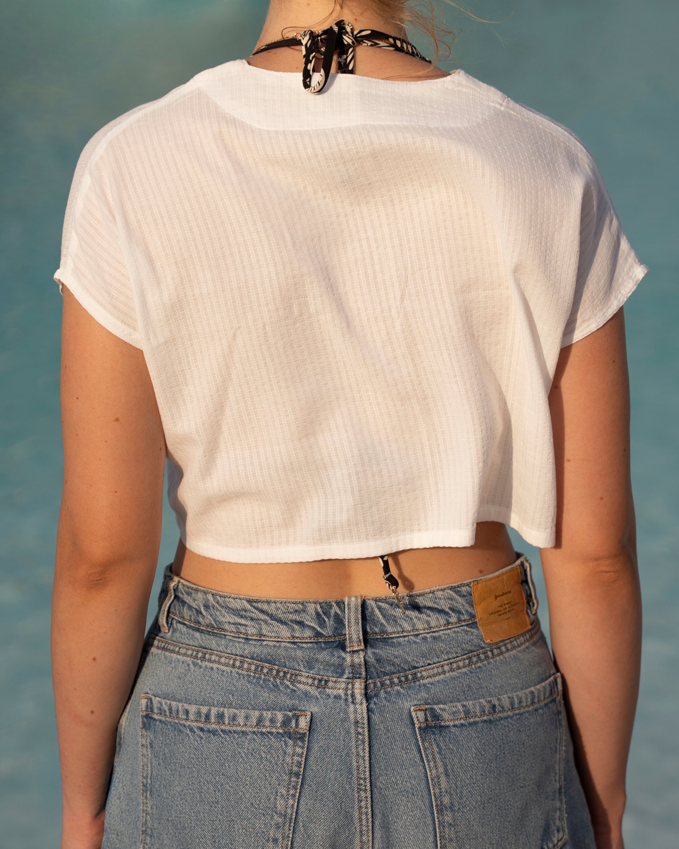 Shoreline Crop