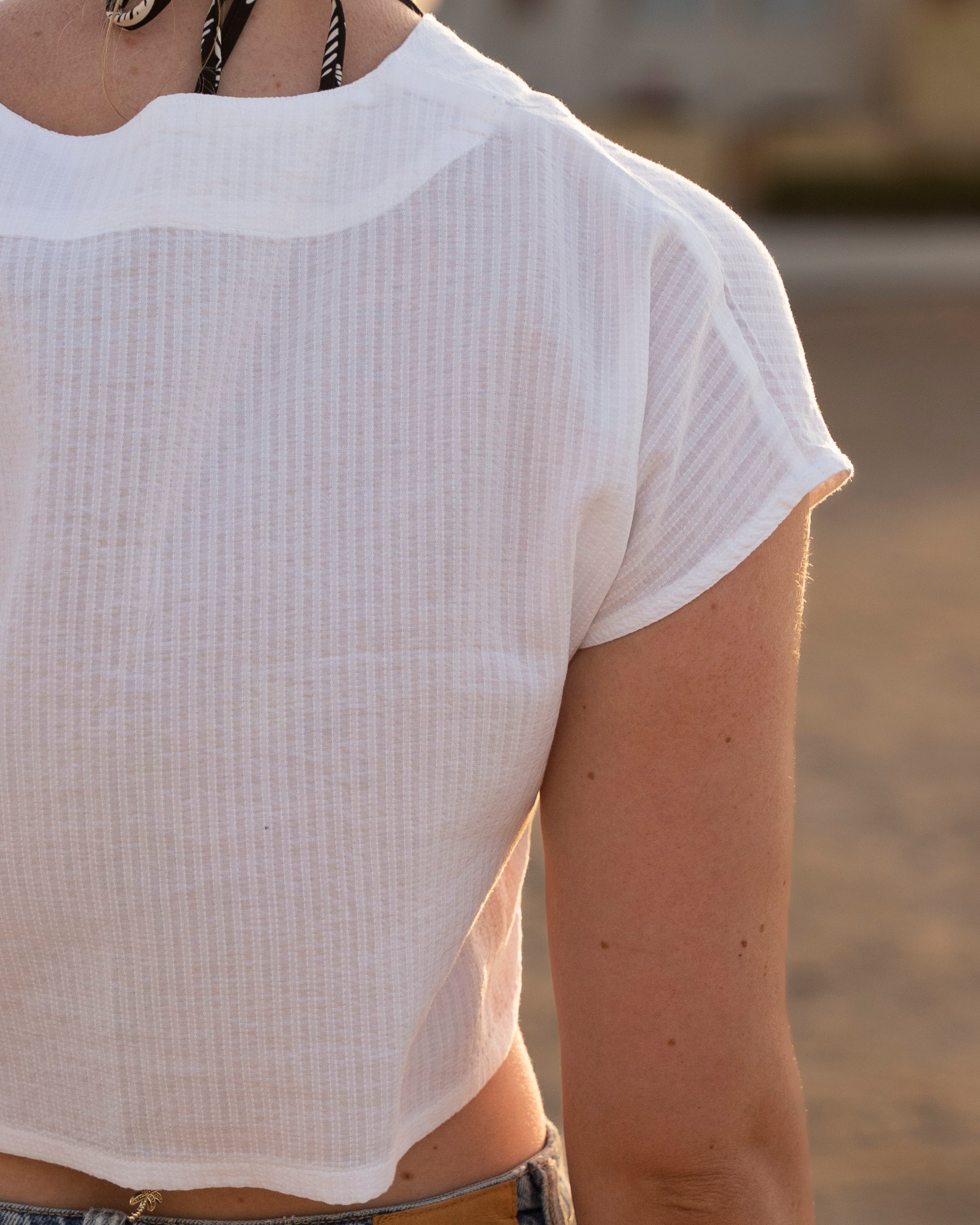 Shoreline Crop